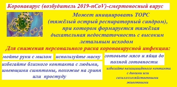 короновирус